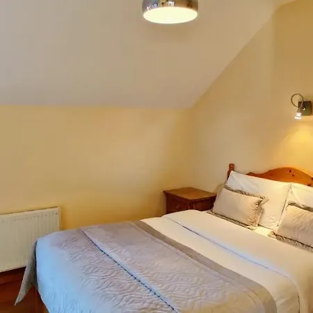 Moynure House Boutique B&B & Separate Two Bedroom Chalet Athlone Exterior foto