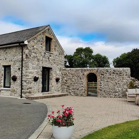 Moynure House Boutique B&B & Separate Two Bedroom Chalet Athlone Exterior foto