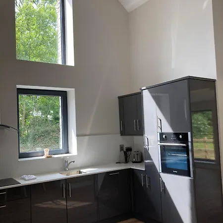 Moynure House Boutique B&B & Separate Two Bedroom Chalet Athlone Exterior foto